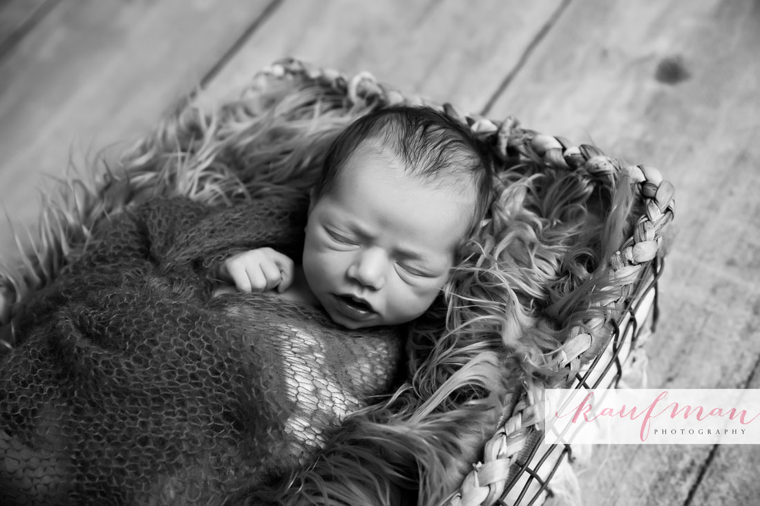 Newborn and Family Photography 8