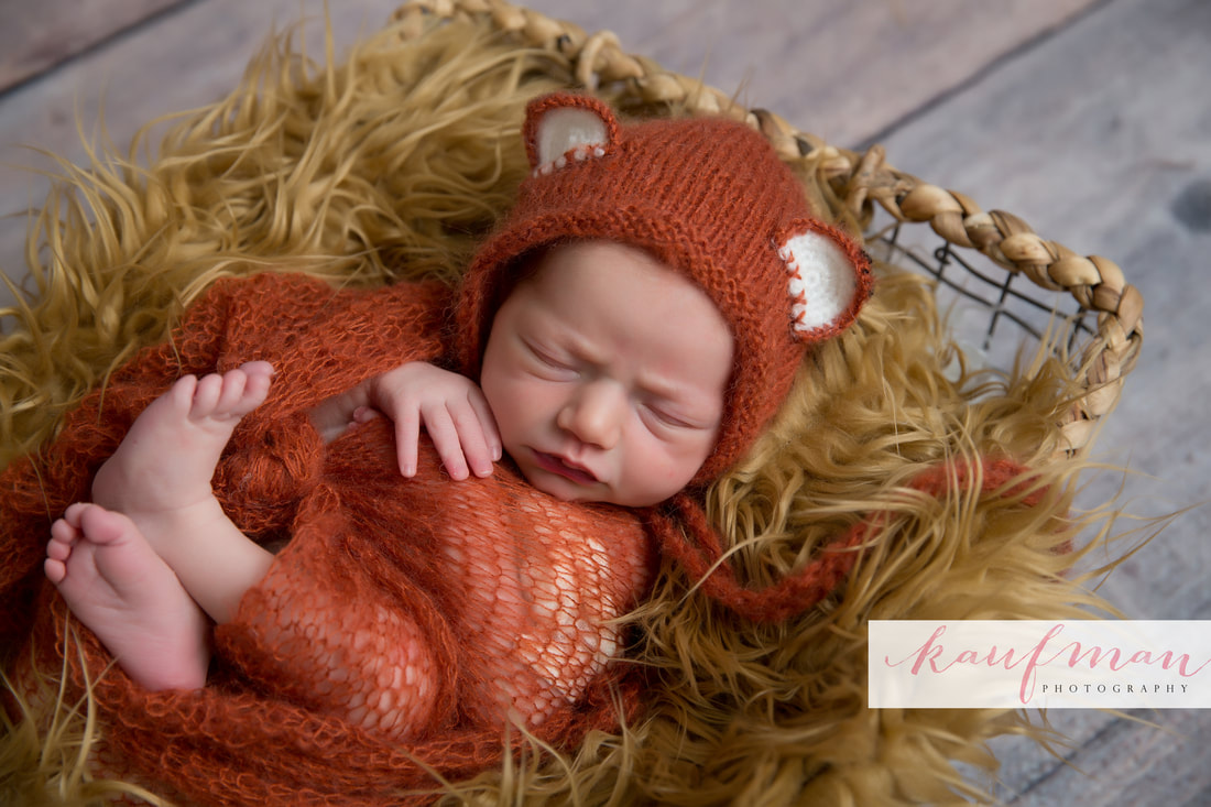 Newborn and Family Photography 6