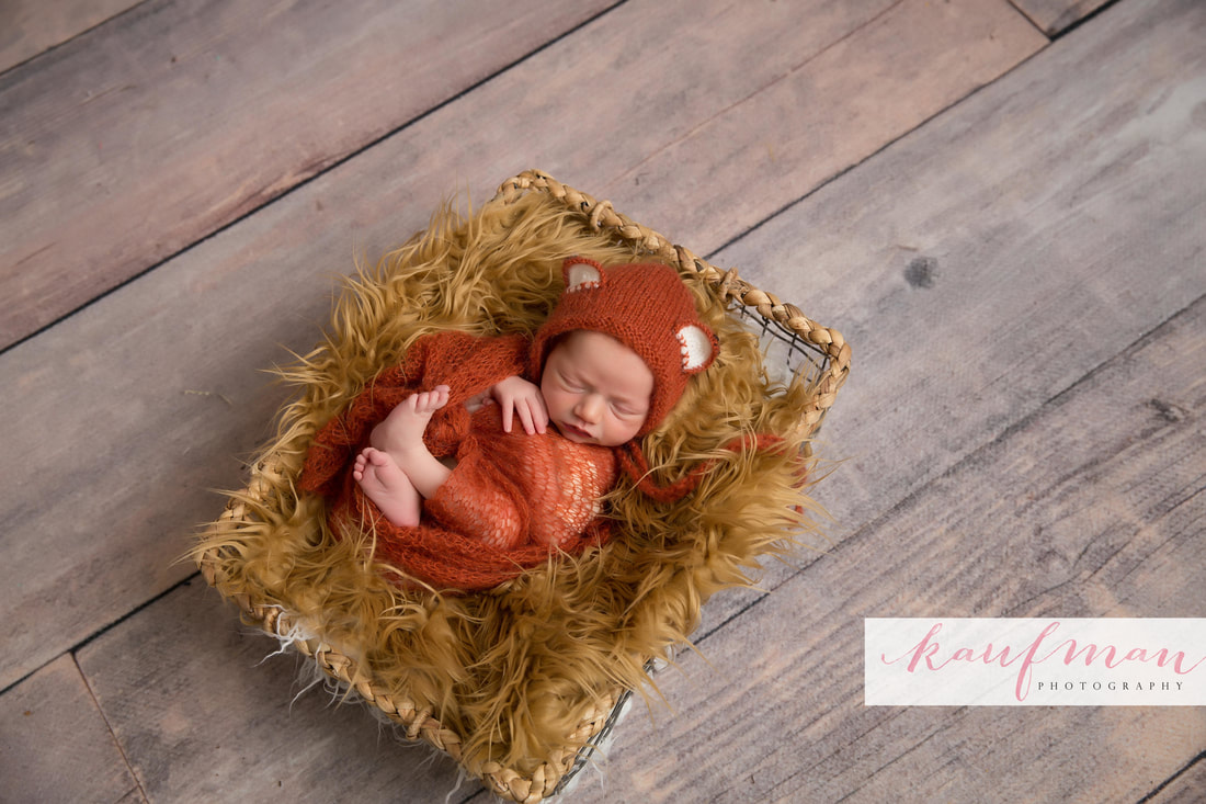 Newborn and Family Photography 7