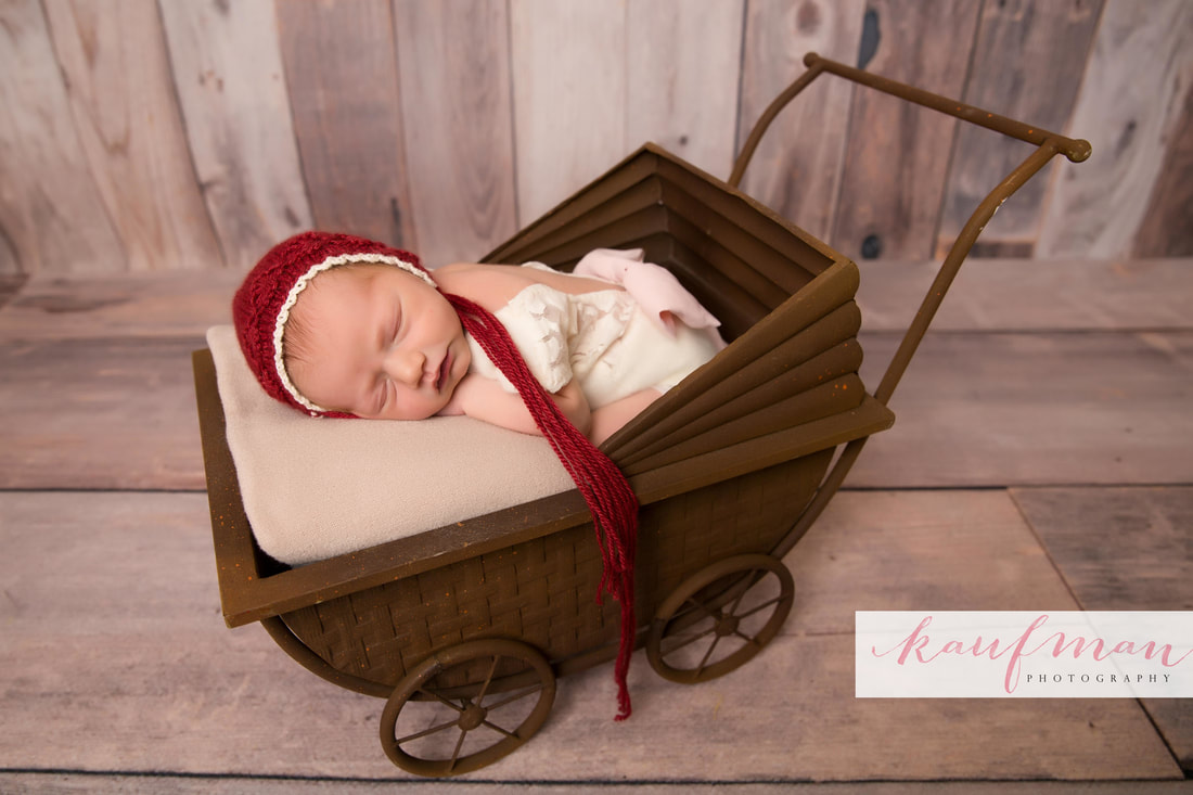 Newborn and Family Photography 5