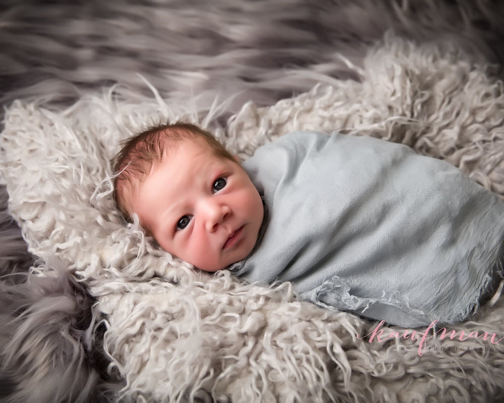  Newborn and Family Photography Sharon 1
