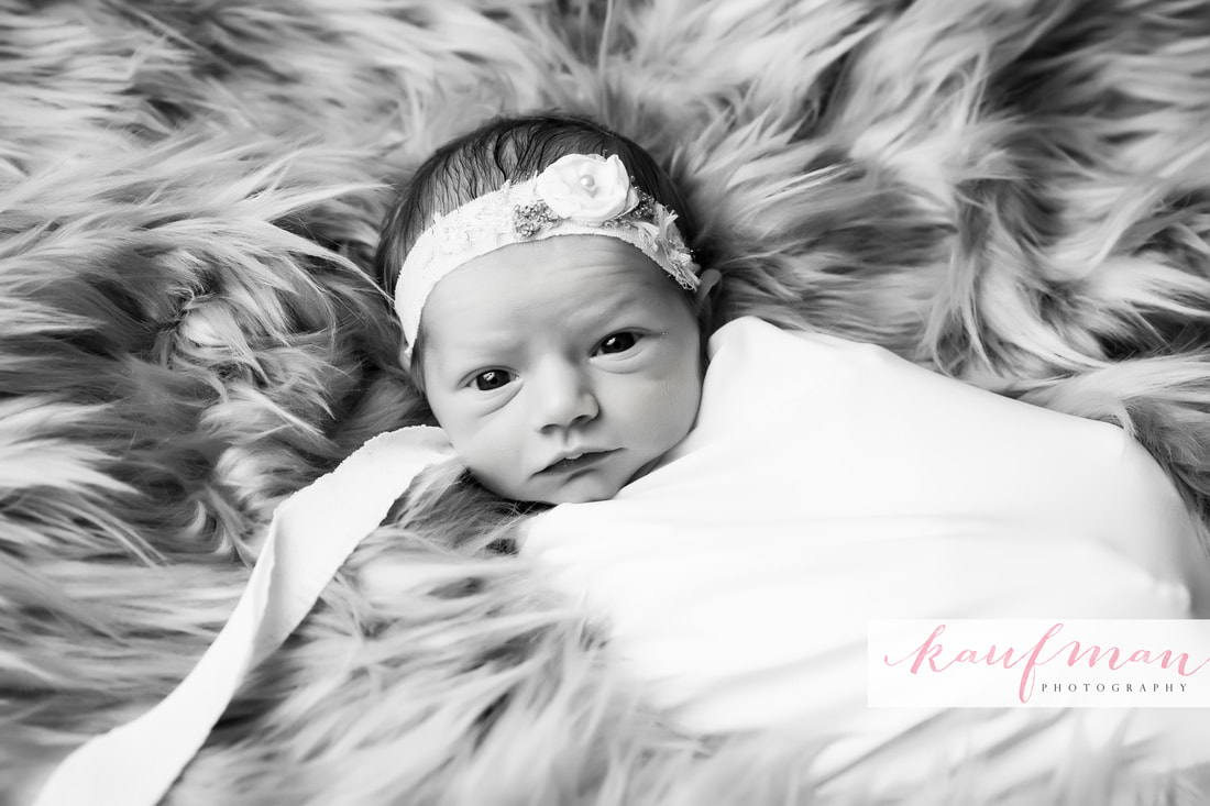 Newborn and Family Photography 15