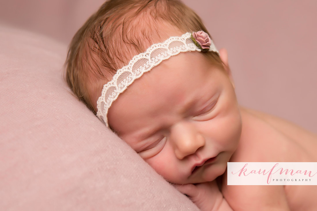 Newborn and Family Photography 2